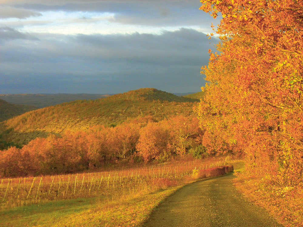 Mas del Périé estate in Cahors, southwest France, is a leading natural wine purveyor